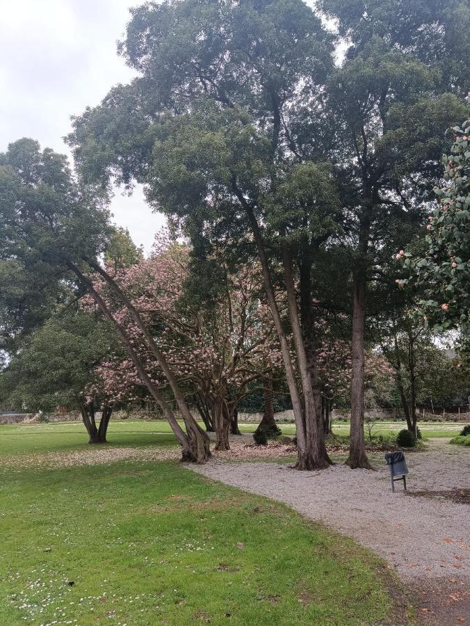 Apartamento Villaro Cartes Dış mekan fotoğraf